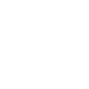 Limo service